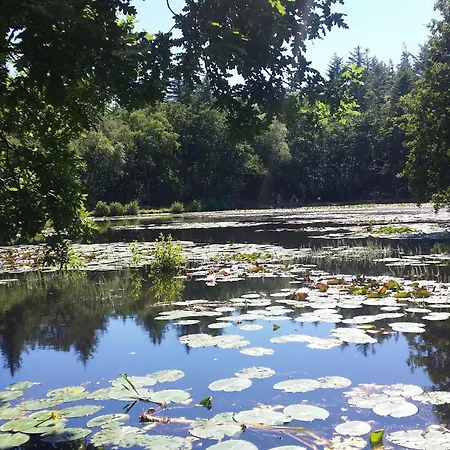 Дом отдыха Secluded Retreat - By Traum